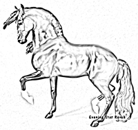 Amazigh Stallion
