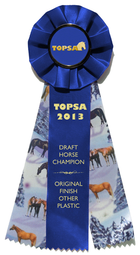 TOPSA Champion