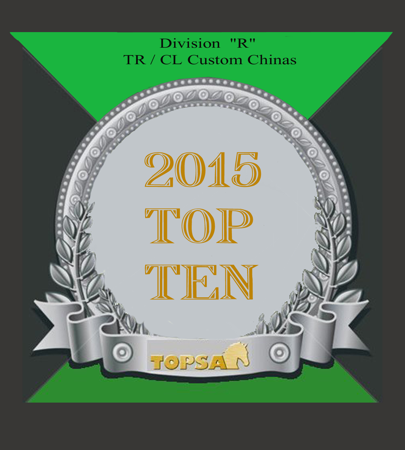 TOPSA 2015 Top Ten