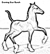 Trotting Foal
