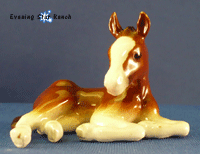 Northern Rose Clydesdale Foal