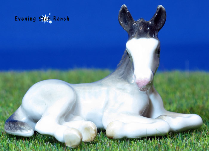 Northern Rose Foal