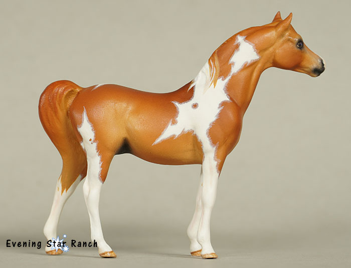 Stablemate Arabian Stallion