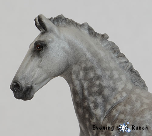 Copperfox Irish Sports Horse