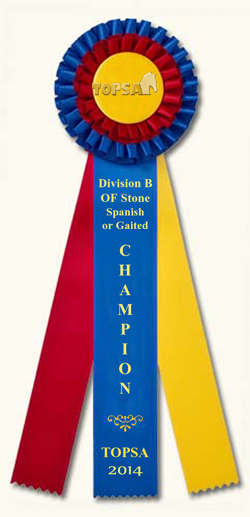 TOPSA 2014 Champion