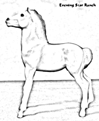 Mesteno the Foal