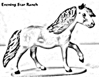 Highland Pony Stallion