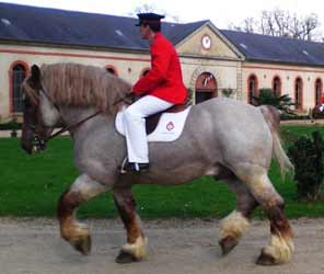 Roan Breton
